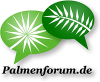 Palmenforum.de
